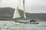 halley 2932c whyw25 fri 800_7531